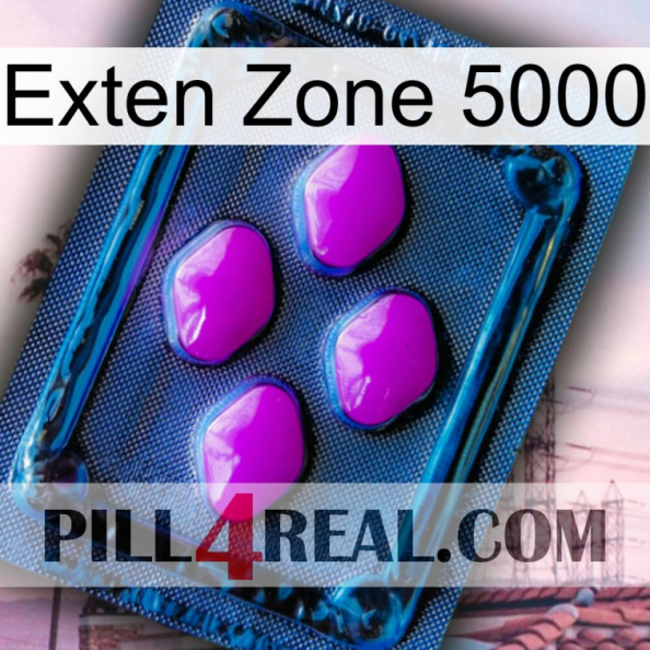 Exten Zone 5000 04.jpg